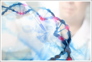 DNA-In SY5Y細(xì)胞轉(zhuǎn)染試劑現(xiàn)貨供應(yīng) 美國(guó)GlobalStem品牌產(chǎn)品解析